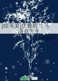 [��Ӣ��]���ŵ������������