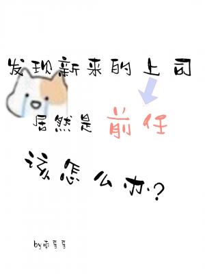 ��˾