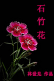 ʯ��