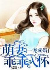 һ��ɻ飺���޹Թ��뻳