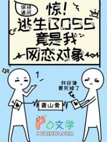 ��������BOSS��������������