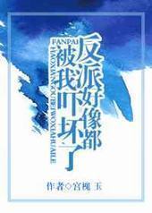 ���ɺ��񶼱����Ż��� ���+����