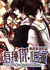 ��������ǽ