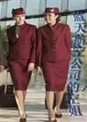 ���캽�չ�˾�Ŀս�