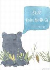 ����,���Ƽ�Ҫ�� ���+����