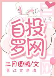 ��Ͷ���� ���+����