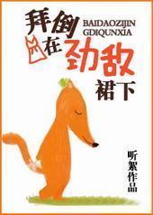 �ݵ��ھ���ȹ��