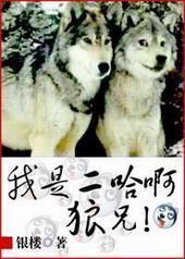 ���Ƕ���������