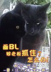 ��BL���ϰ�ץס����ô��