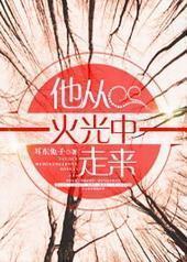 ���ӻ��������