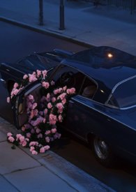 ��ǧ�futa��